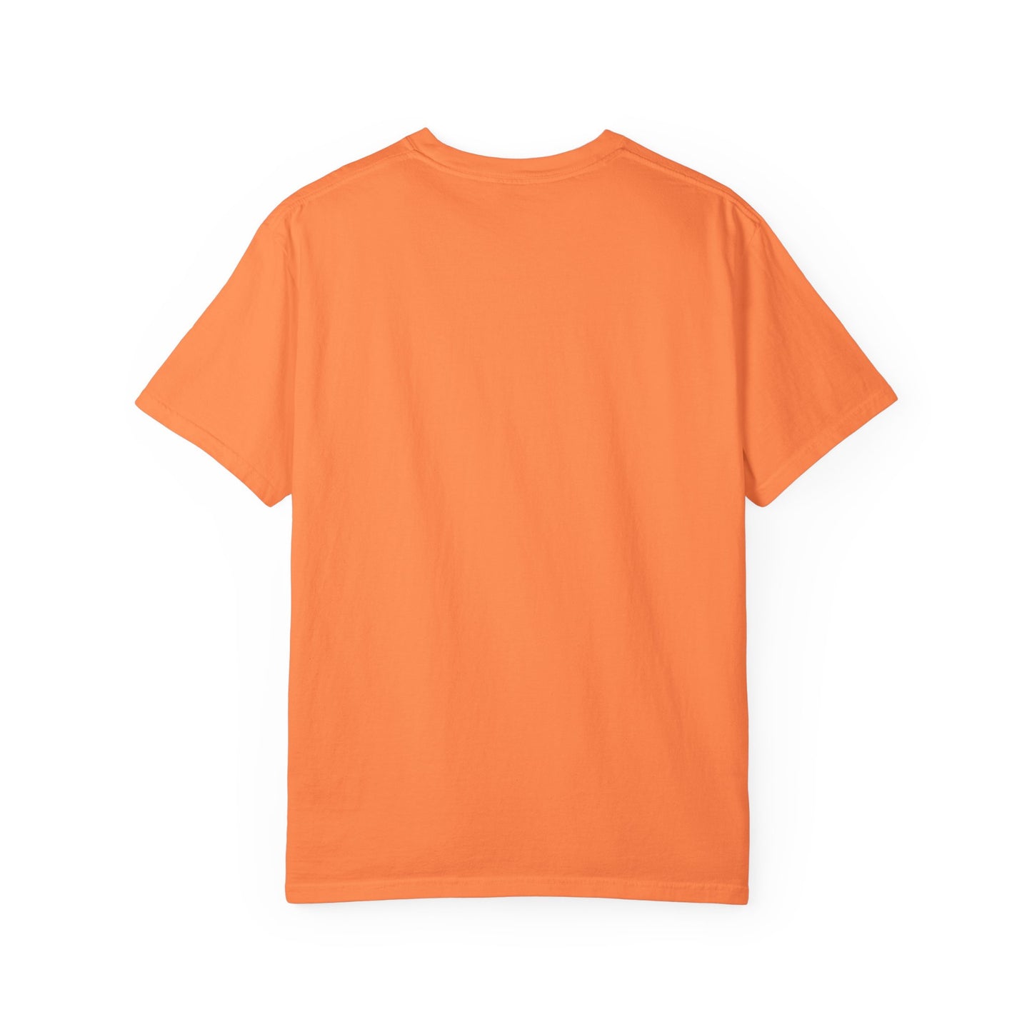 Bull💩 T-shirt - Unisex Garment-Dyed Tee