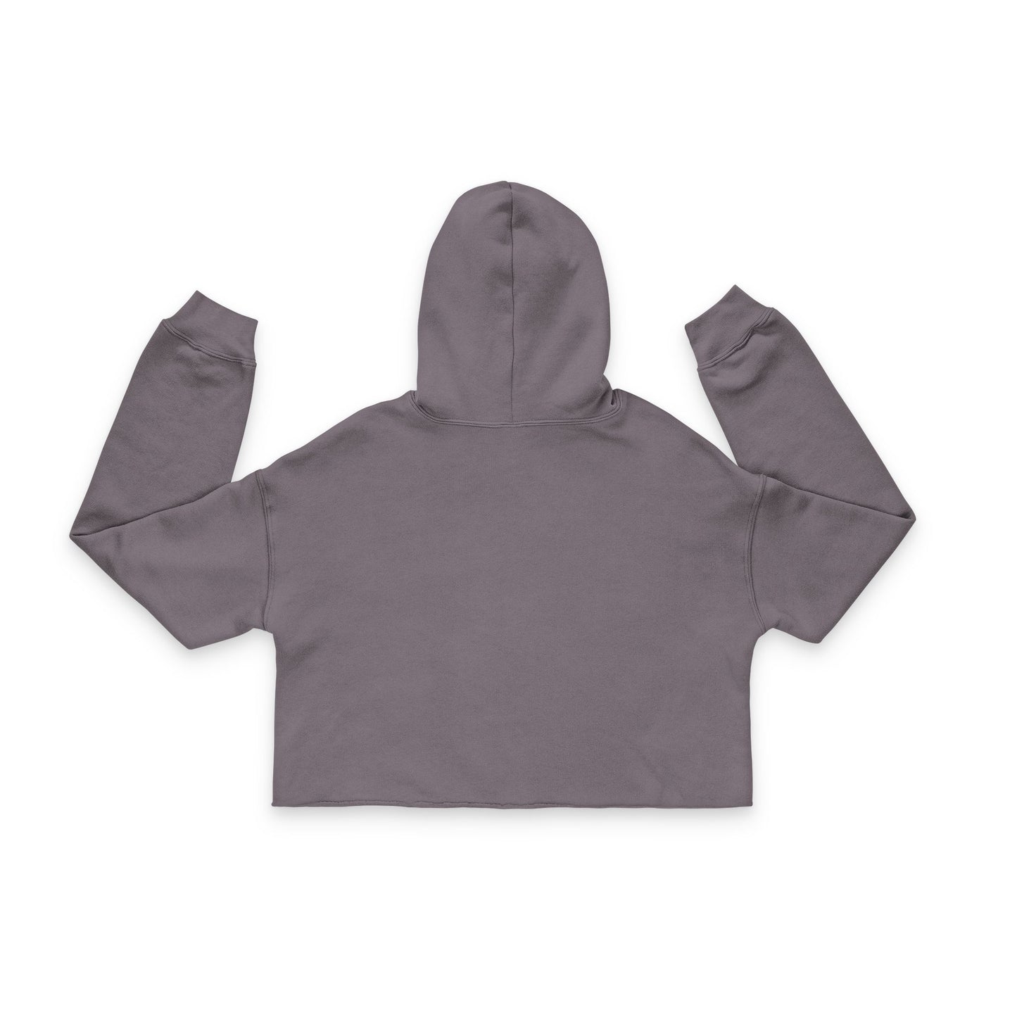 Cropped Hoodie - Bad Decisions Good Stories