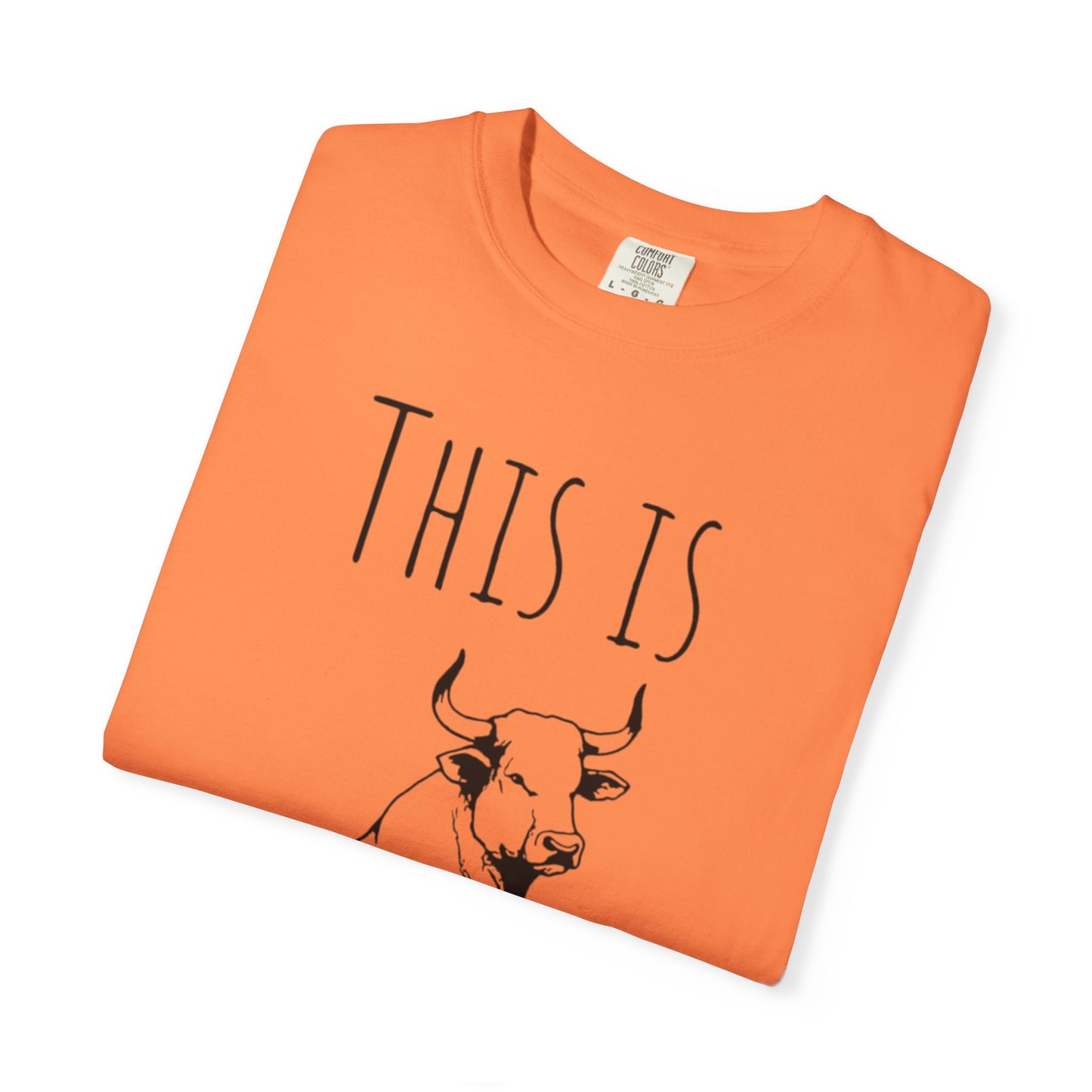 Bull💩 T-shirt - Unisex Garment-Dyed Tee