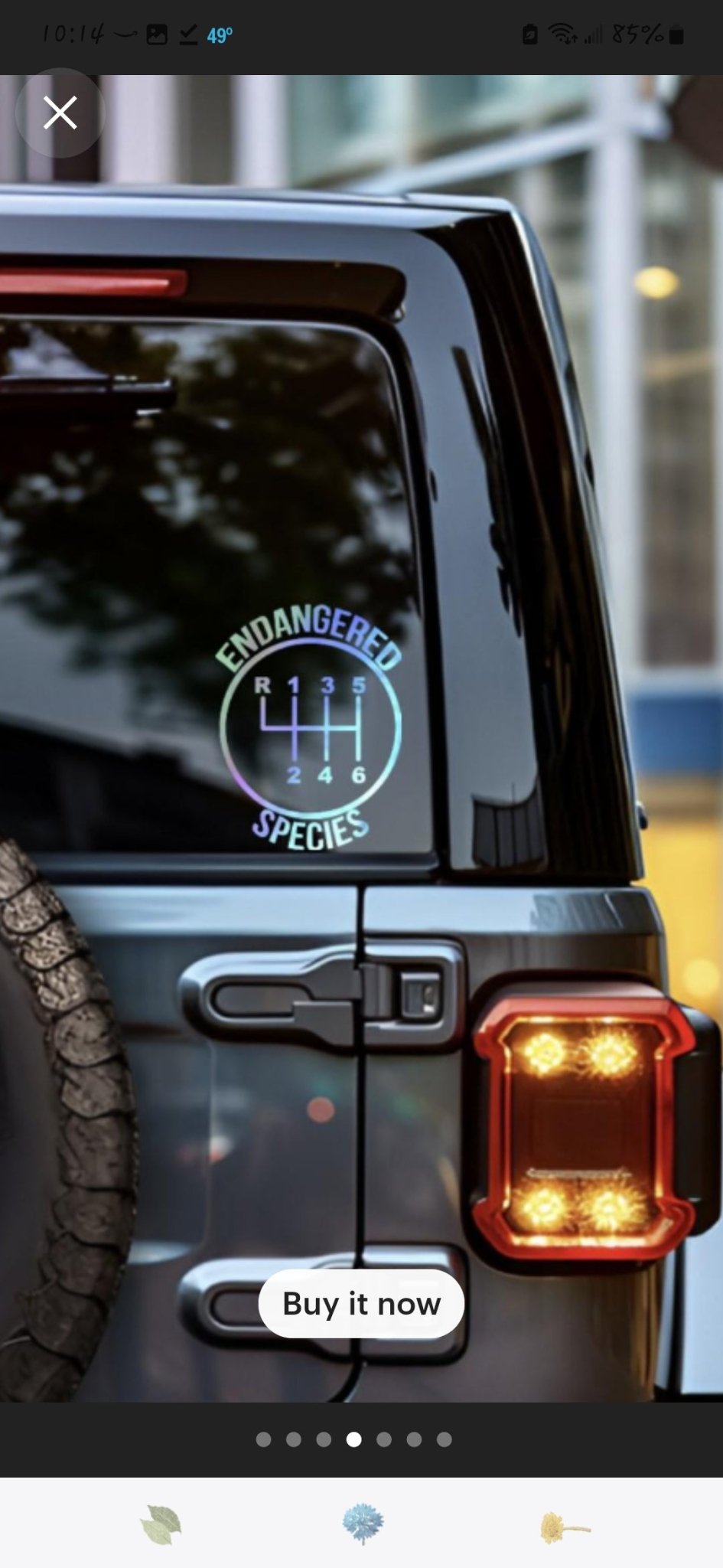 Endangered species speed decal