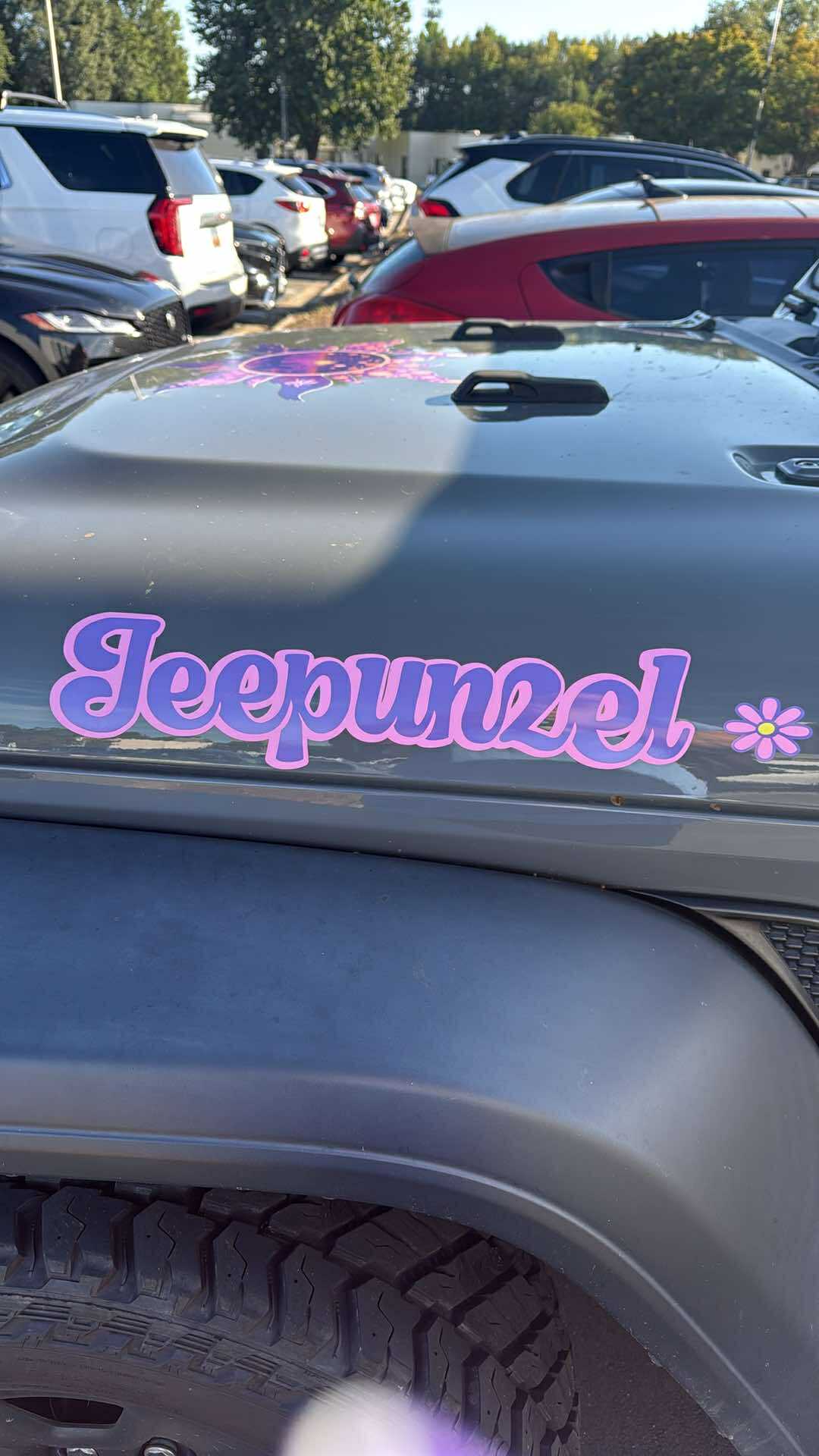 Premium Hood Decal Set