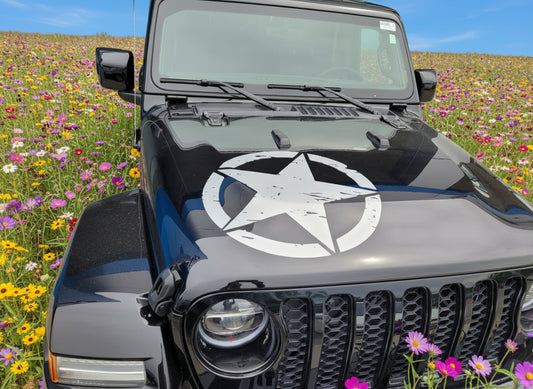 Hood Star Decal