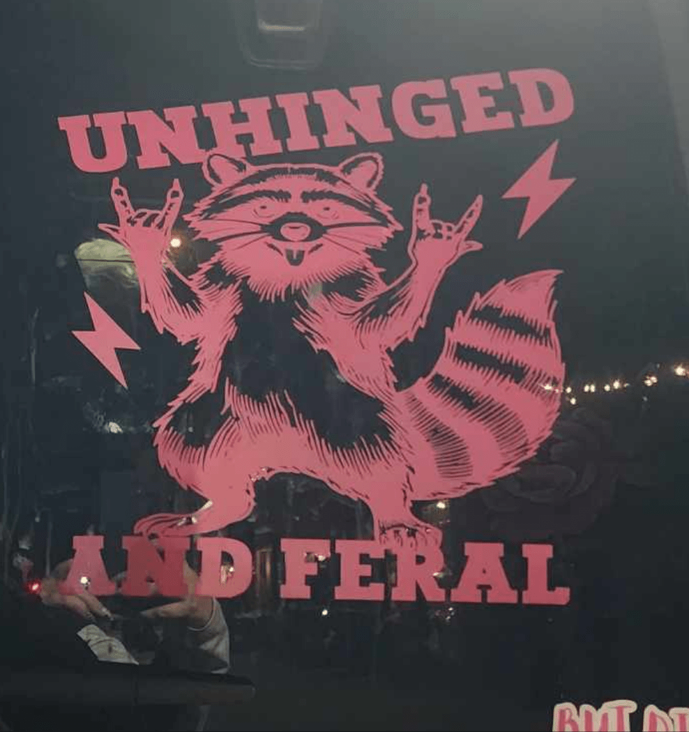 Crazy Raccoon Unhinged Unhinged and Feral raccoon decal – Farrar Decals and designs